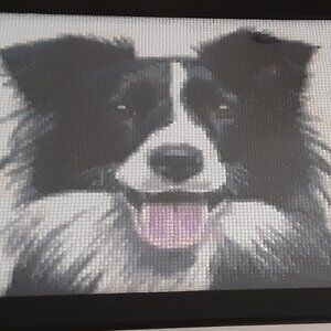 Finished Border Collie Diamond Painting~~Not a Kit~~Over 10,000 Diamonds Framed